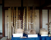 Разные бамбуки