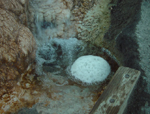 Соляные источники Mammoth Springs